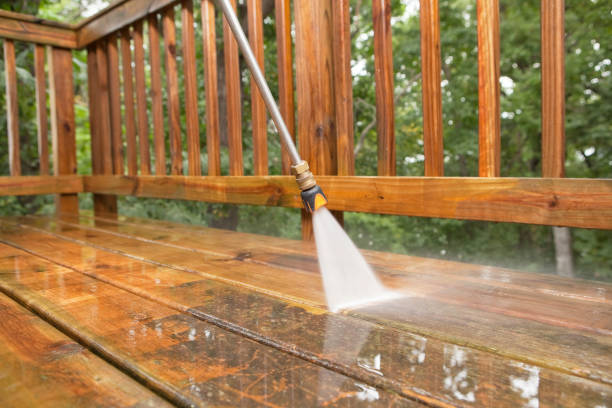 Best Roof Pressure Washing  in Waynesboro, MS